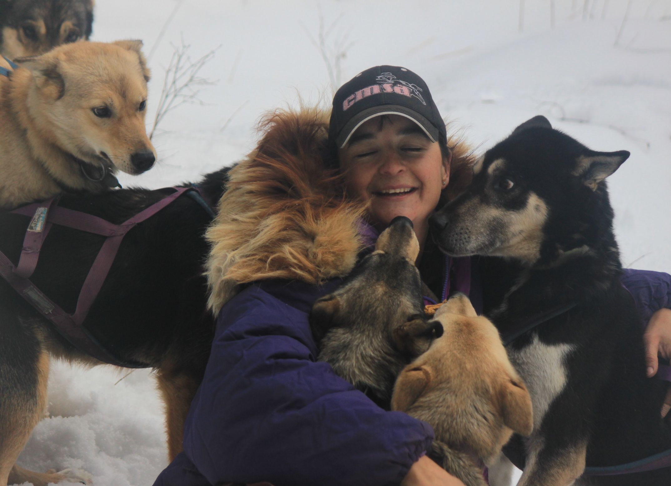 Dogsleddingdecember 310